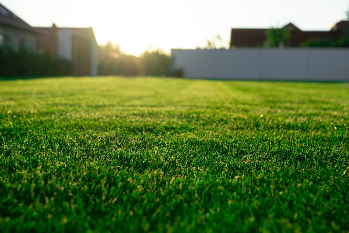 Premium landscaping work by Capital Estate Exteriors