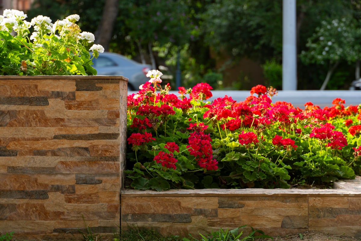Cumberland Garden Beds